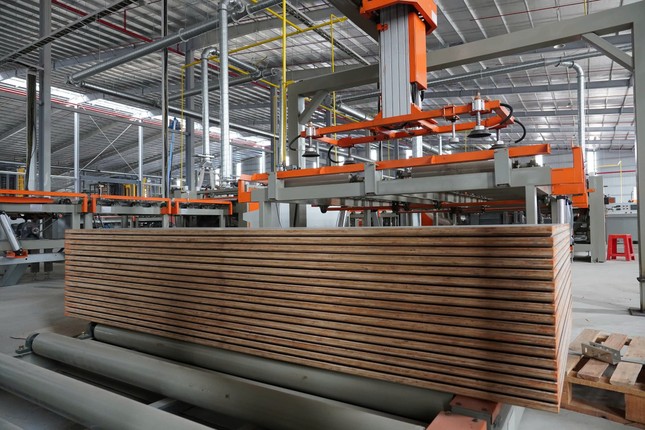 Hòa Phát đầu tư sản xuất ván sàn cao cấp, mở rộng dải sản phẩm ảnh 1