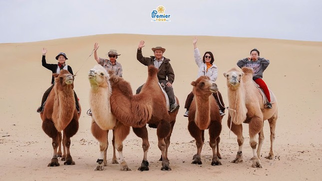 Bí ẩn tuyết rơi giữa sa mạc Gobi: Khi tuyết rơi trên cát vàng ảnh 3