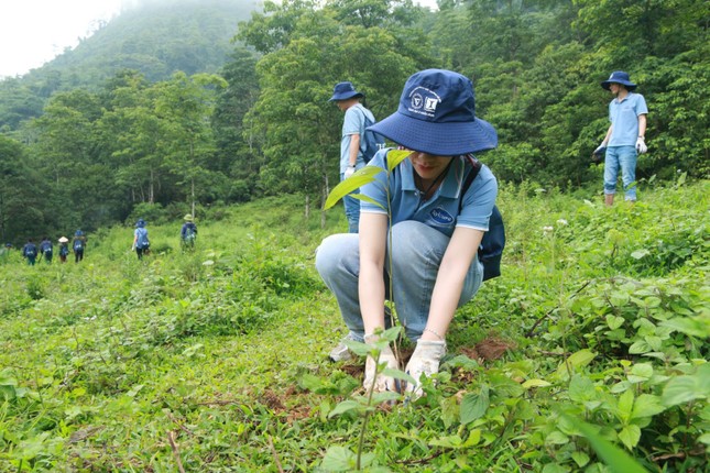 Avisure – Chung tay hồi sinh rừng tự nhiên ảnh 1