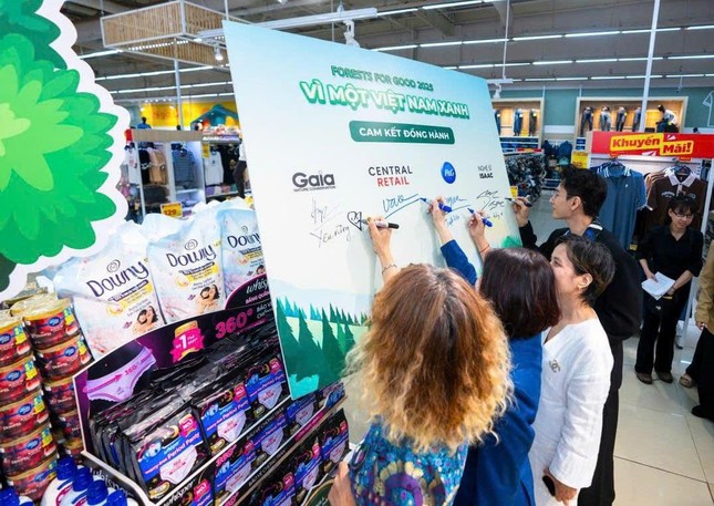 P&G Việt Nam và Central Retail Việt Nam phát động chương trình trồng rừng năm 2025 ảnh 2