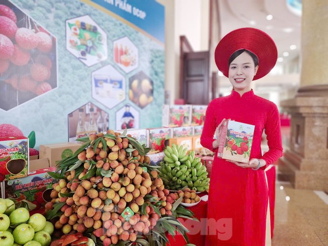 Bắc Giang xúc tiến tiêu thụ vải thiều và sản phẩm Ocop ảnh 2