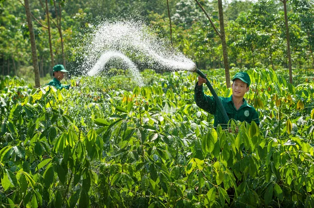 VRG trước thềm Đại hội cổ đông 2025: Bản lĩnh vượt khó, sẵn sàng cho sức bật mới ảnh 3