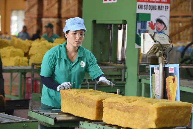 VRG trước thềm Đại hội cổ đông 2025: Bản lĩnh vượt khó, sẵn sàng cho sức bật mới ảnh 1