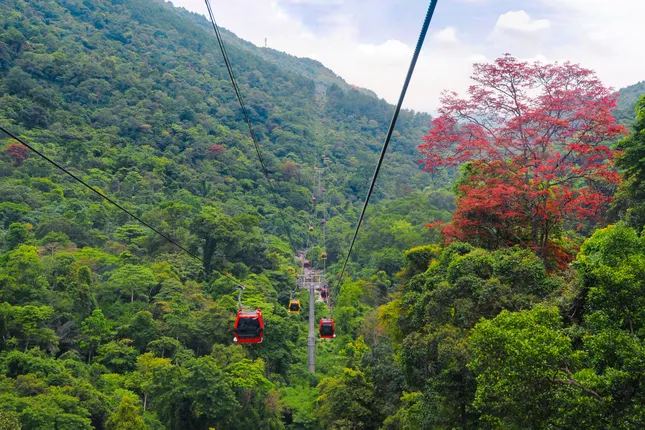 Tour 2 ngày 1 đêm Tây Thiên – Tam Đảo 2025: Trọn vẹn trải nghiệm tâm linh – nghỉ dưỡng ảnh 1