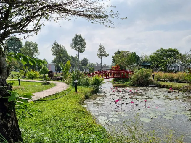 Cần Thơ và 'quả ngọt' từ nỗ lực phát triển đô thị xanh ảnh 2