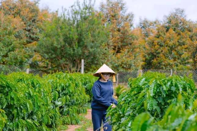 Cung cấp giải pháp canh tác bền vững, nâng cao vai trò phụ nữ ảnh 2