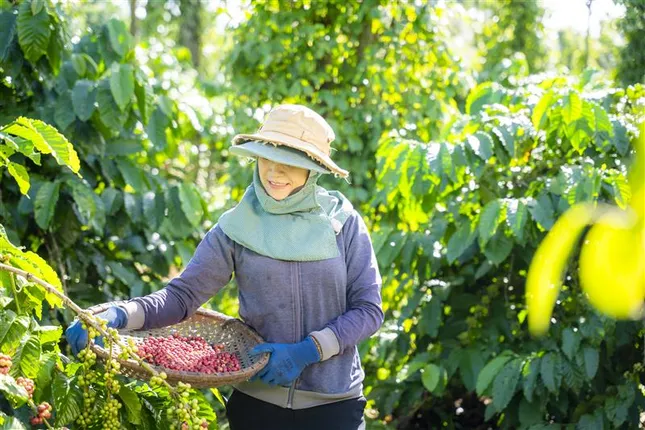 Nestlé tiên phong lan tỏa thói quen tiêu dùng xanh, hướng tới tương lai phát triển bền vững ảnh 2