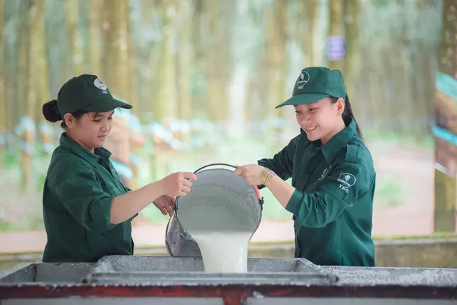 Tập đoàn Công nghiệp Cao su Việt Nam: Tăng tốc phát triển, tối ưu nguồn lực ảnh 1