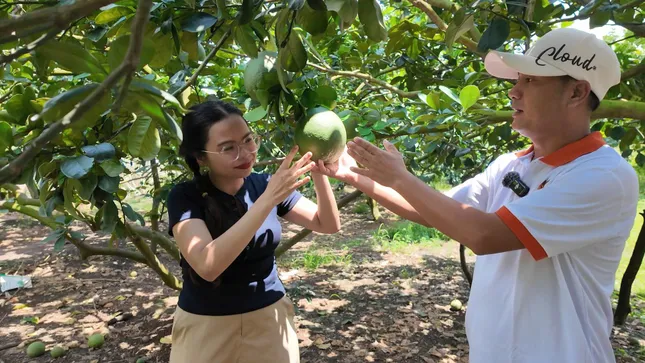 Phân bón tháp cao sản xuất ngay tại Việt Nam - giải bài toán tối ưu chi phí trong canh tác ảnh 3