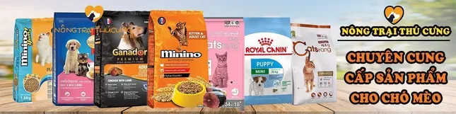 Chăm sóc thú cưng từ trái tim, chinh phục khách hàng bằng uy tín: Câu chuyện của &apos;Nông trại thú cưng&apos; trên Lazada ảnh 2