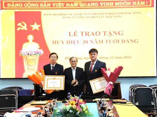 Đảng bộ công ty điện lực Đắk Nông: Khẳng định vai trò lãnh đạo, gặt hái thành công ảnh 2