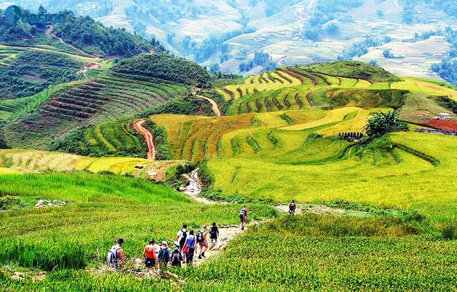 Chương trình 'Tuổi trẻ vì cộng đồng': Khơi dậy trách nhiệm xã hội từ trải nghiệm thực tế ảnh 1