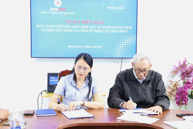 Công ty Điện lực Đắk Nông tiếp nhận bàn giao, vận hành lưới điện hạ áp nông thôn ảnh 2