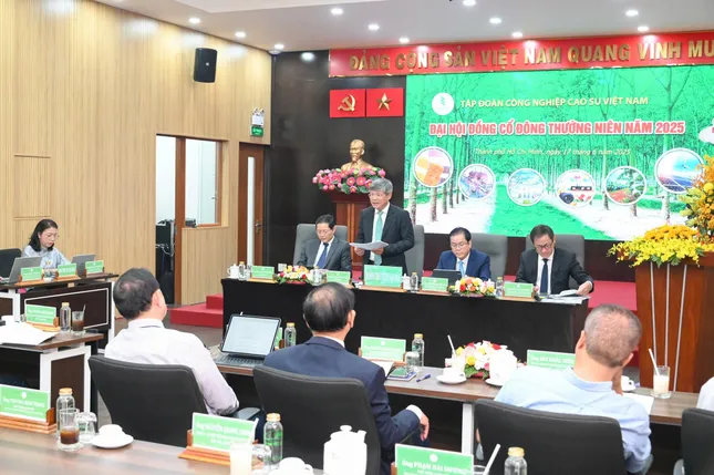 Tập đoàn Công nghiệp Cao su Việt Nam chia cổ tức 1.600 tỷ đồng ảnh 2