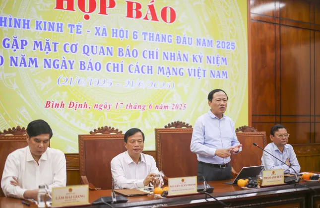 6 tháng đầu năm, Bình Định thu hút 58 dự án mới ảnh 2