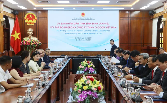 Bình Định sắp có Trung tâm đào tạo và phát triển nhân lực năng lượng tái tạo 50 triệu USD ảnh 1