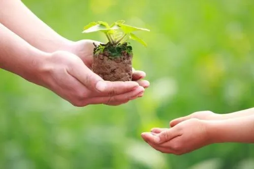 Học sinh phổ thông trải nghiệm văn hóa bản địa và trồng cây vì Việt Nam bền vững ảnh 4