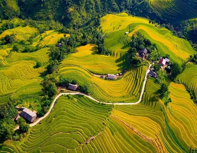 Học sinh phổ thông trải nghiệm văn hóa bản địa và trồng cây vì Việt Nam bền vững ảnh 1