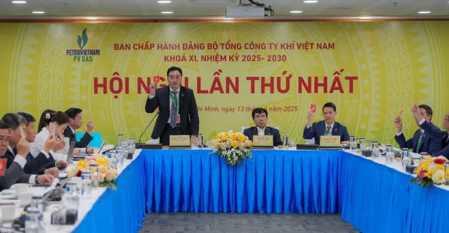 PV GAS giữ vững vị thế số 1 ngành năng lượng khí ảnh 3
