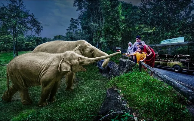 GPP Singapore 2025: 5 ngày trải nghiệm giúp sinh viên Việt Nam bước đầu trở thành công dân toàn cầu ảnh 5