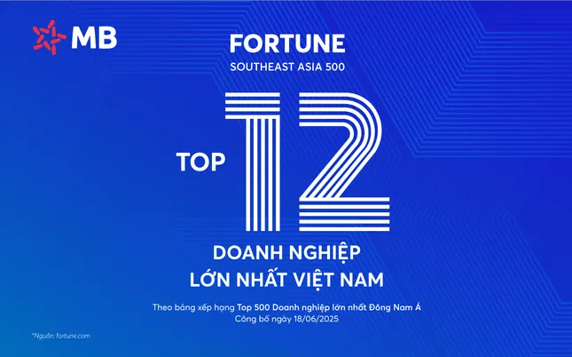 MB lọt Top 100 doanh nghiệp lớn nhất Đông Nam Á, thăng 5 bậc trên bảng xếp hạng Fortune SEA 500 ảnh 1