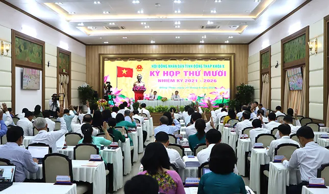 HĐND tỉnh Đồng Tháp thông qua 31 Nghị quyết quan trọng ảnh 3