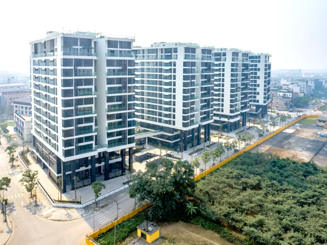 Sunshine Group livestream đặt giá căn hộ vào 1/7 chỉ với giá khởi điểm bằng 50% giá thị trường ảnh 2