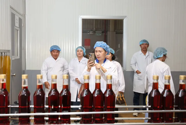  Masan PQ (Masan Phú Quốc) kỷ niệm 18 năm thành lập ảnh 2