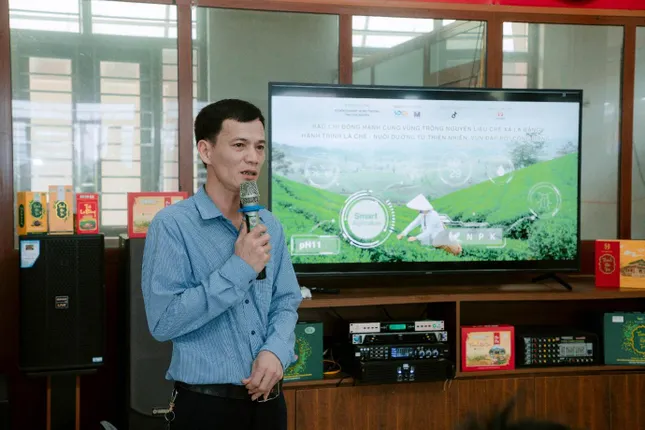 Thái Nguyên: Người dân trồng chè ở La Bằng với niềm vui an cư ảnh 2