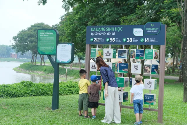 Câu chuyện từ túi hạt giống nhỏ đến 1 triệu cây xanh của Gamuda Land ảnh 2