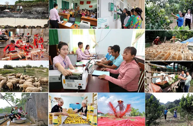 Xây dựng Đảng bộ Ngân hàng Chính sách xã hội Trung ương vững mạnh toàn diện, đồng hành cùng đất nước ảnh 1