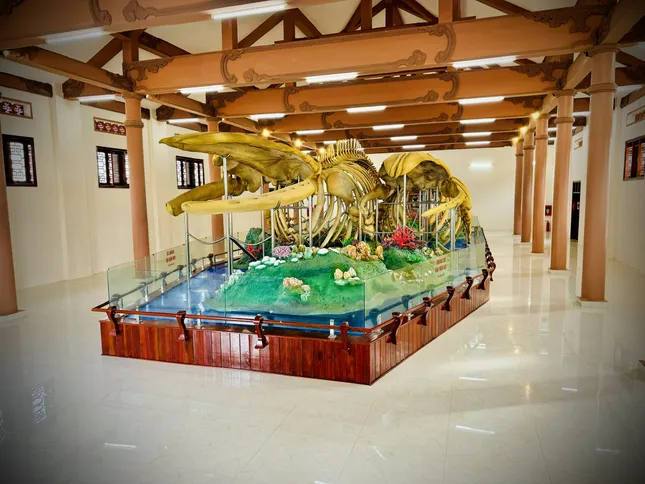 Hai bộ &apos;ngọc cốt&apos; cá ông ở Lý Sơn vừa được Trao bằng xác lập Kỷ lục lớn nhất Việt Nam ảnh 1
