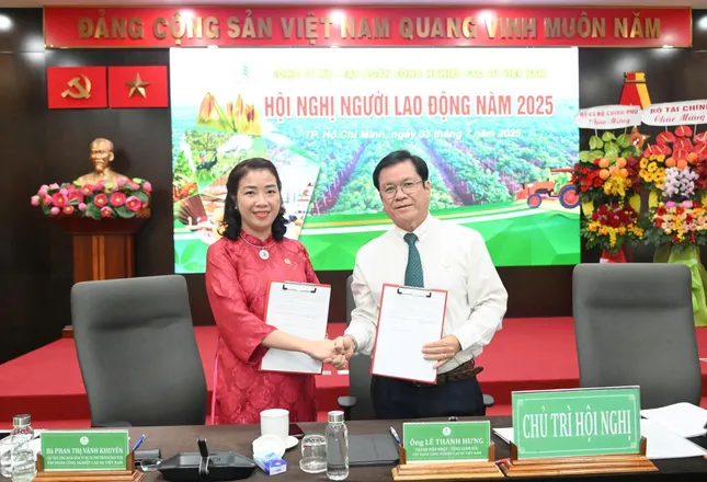 Tập đoàn Công nghiệp Cao su Việt Nam đẩy mạnh phát triển toàn diện ảnh 1