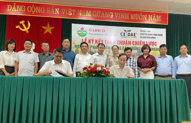 Hợp tác phát triển giống cây trồng của Hà Nội: Kiến tạo nền nông nghiệp sinh thái ảnh 2