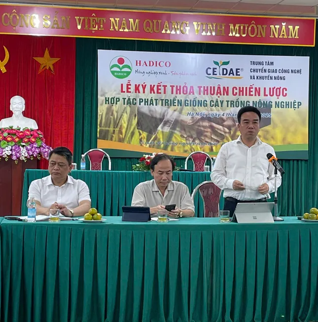 Hợp tác phát triển giống cây trồng của Hà Nội: Kiến tạo nền nông nghiệp sinh thái ảnh 1