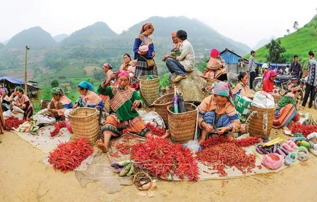 Tuổi trẻ vì cộng đồng: Vì sao lại là Bắc Hà? ảnh 2