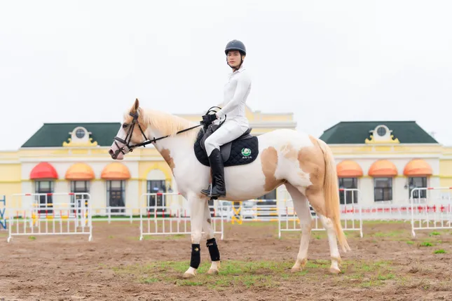 Sắp diễn ra giải cưỡi ngựa chuyên nghiệp đầu tiên tại Việt Nam – Vinpearl Equestrian Cup 2025 ảnh 3