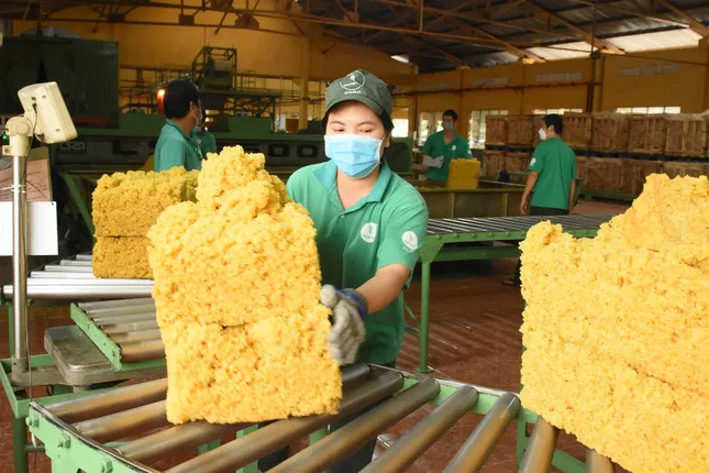 Cao su Đồng Nai – 50 năm dựng xây và phát triển bền vững ảnh 2