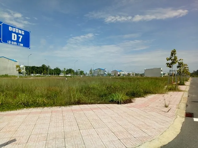 Cận cảnh hơn 7 nghìn m2 đất công bị ‘xẻ thịt’ phân lô bán nền ở Bình Dương ảnh 3
