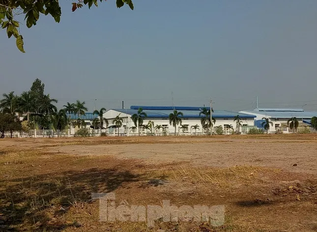 Cận cảnh khu công nghiệp ‘đắp chiếu’ 16 năm ở Bình Dương ảnh 4