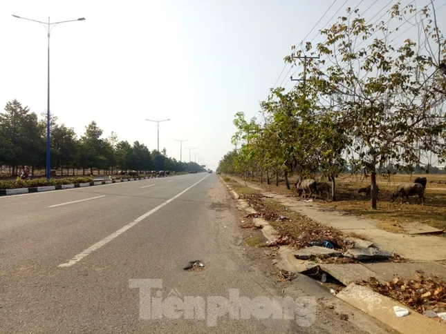 Cận cảnh khu công nghiệp ‘đắp chiếu’ 16 năm ở Bình Dương ảnh 5