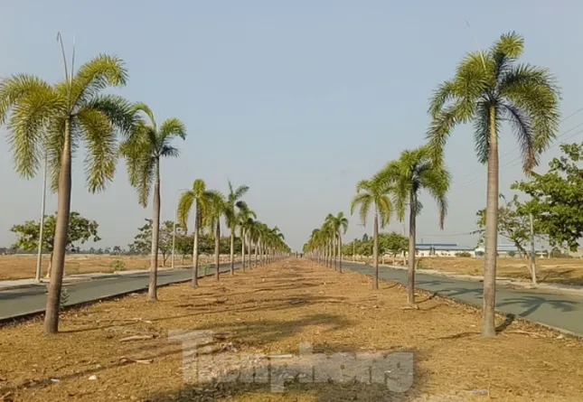 Cận cảnh khu công nghiệp ‘đắp chiếu’ 16 năm ở Bình Dương ảnh 6