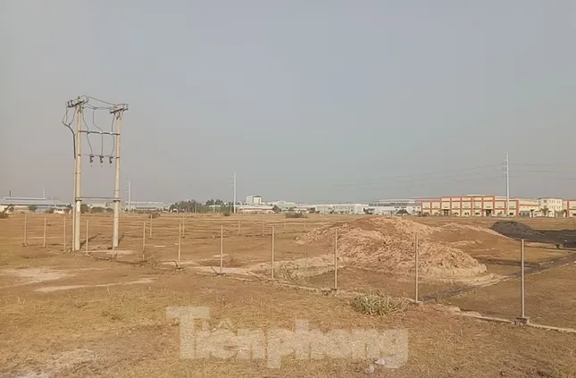 Cận cảnh khu công nghiệp ‘đắp chiếu’ 16 năm ở Bình Dương ảnh 7