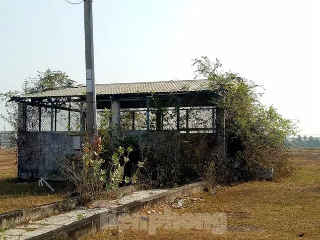 Cận cảnh khu công nghiệp ‘đắp chiếu’ 16 năm ở Bình Dương ảnh 12