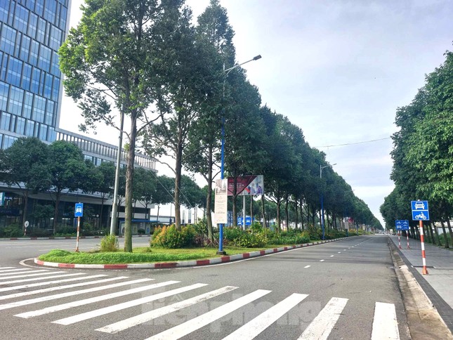 Cận cảnh vị trí dự án TTTM, nhà ga metro kết nối Bình Dương và TPHCM ảnh 8