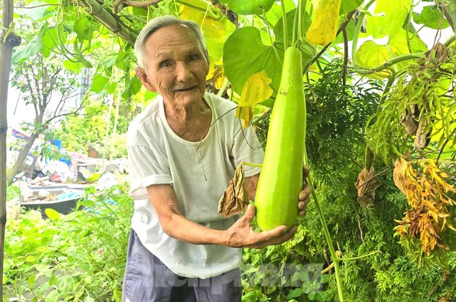 Cụ ông 100 tuổi vẫn vác nặng, uống bia, đi bộ và trồng rau ảnh 3