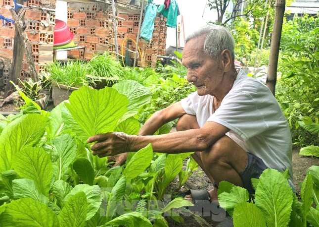 Cụ ông 100 tuổi vẫn vác nặng, uống bia, đi bộ và trồng rau ảnh 2