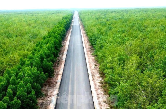 Dự án đường Hồ Chí Minh qua 4 tỉnh phía Nam vừa &apos;lỡ hẹn&apos; về đích ảnh 2