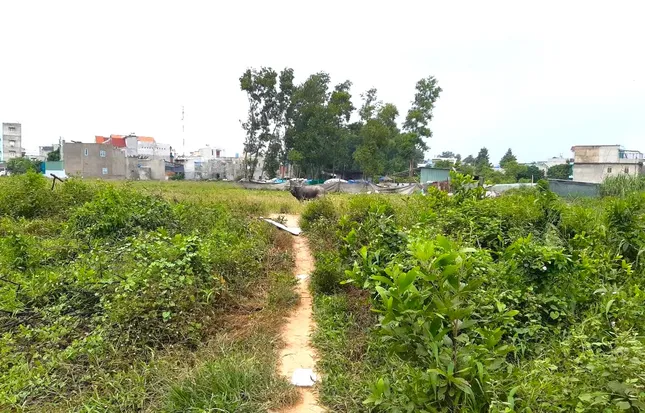 Tin lời 'cò đất', hàng trăm cư dân mua đất dự án điêu đứng ảnh 2