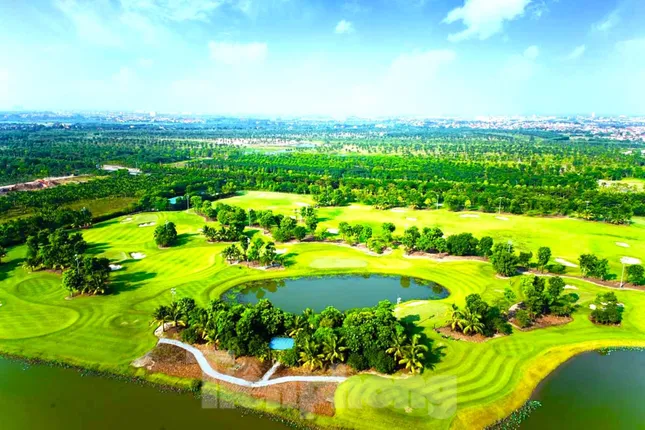 ‘Siêu phường’ ở TPHCM có 7 khu công nghiệp, 2 sân golf ảnh 4